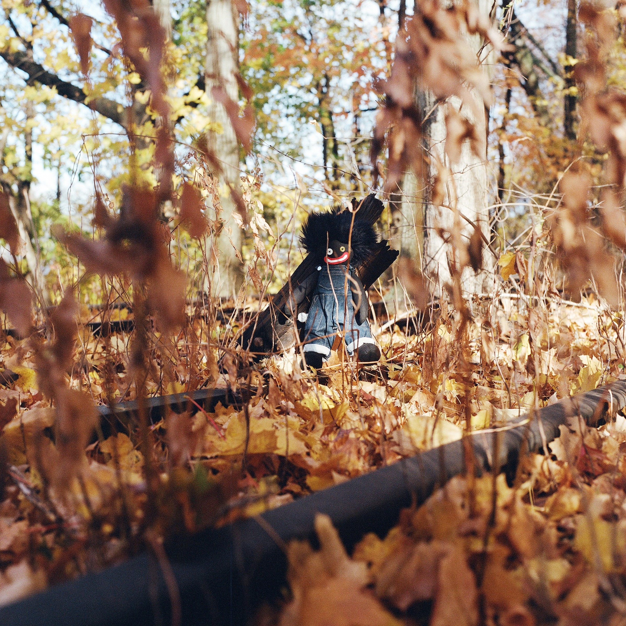 The cover art of billy woods's 'GOLLIWOG'. A photograph of a golliwog doll, sitting in a mid-autumn forest.